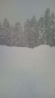 雪景色２.jpg